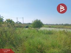 ขายที่ดิน เนื้อที่ 94 ตร.วา หน้าเมือง ฉะเชิงเทรา-202512040948171764816497986.jpg