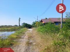 ขายที่ดิน เนื้อที่ 94 ตร.วา หน้าเมือง ฉะเชิงเทรา-202512040948191764816499642.jpg