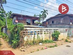 ขายที่ดินพร้อมสิ่งปลูกสร้าง เนื้อที่ 1 ไร่ 35 ตร.วา เก้าเลี้ยว นครสวรรค์-202512040956471764817007223.jpg