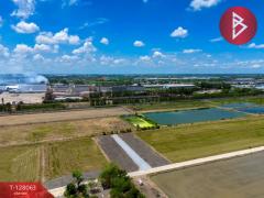 ขายที่ดิน-เนื้อที่-1-งาน-81.7-ตร.วา-ไทรน้