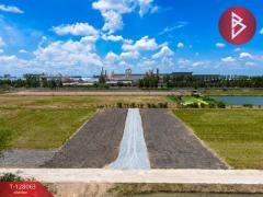 ขายที่ดิน เนื้อที่ 1 งาน 81.7 ตร.วา ไทรน้อย นนทบุรี-202512041224061764825846874.jpg