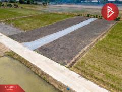 ขายที่ดิน เนื้อที่ 1 งาน 81.7 ตร.วา ไทรน้อย นนทบุรี-202512041224071764825847404.jpg