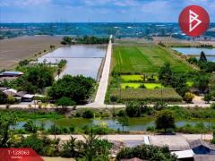 ขายที่ดิน เนื้อที่ 1 งาน 81.7 ตร.วา ไทรน้อย นนทบุรี-202512041224081764825848474.jpg