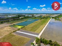 ขายที่ดิน เนื้อที่ 1 งาน 81.7 ตร.วา ไทรน้อย นนทบุรี-202512041224091764825849537.jpg