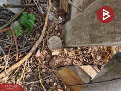 ขายที่ดิน เนื้อที่ 1 งาน 80.7 ตร.วา พลับพลา จันทบุรี-202512041239451764826785159.jpg