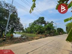 ขายที่ดิน เนื้อที่ 30 ไร่ 74 ตารางวา อุทัย พระนครศรีอยุธยา ใกล้นิคมโรจนะ