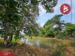 ขายที่ดิน เนื้อที่ 30 ไร่ 74 ตารางวา อุทัย พระนครศรีอยุธยา ใกล้นิคมโรจนะ-202512041246551764827215865.jpg