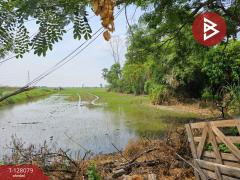 ขายที่ดิน เนื้อที่ 30 ไร่ 74 ตารางวา อุทัย พระนครศรีอยุธยา ใกล้นิคมโรจนะ-202512041246561764827216454.jpg