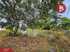 ขายที่ดิน เนื้อที่ 30 ไร่ 74 ตารางวา อุทัย พระนครศรีอยุธยา ใกล้นิคมโรจนะ-202512041246571764827217073.jpg