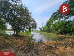 ขายที่ดิน เนื้อที่ 30 ไร่ 74 ตารางวา อุทัย พระนครศรีอยุธยา ใกล้นิคมโรจนะ-202512041246571764827217707.jpg