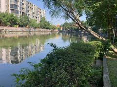 ขายและให้เช่าคอนโด ลุมพินี วิลล์ สุขุมวิท 77 อาคาร2 ชั้น 11 2 นอน 2 น้ำ พื้นที่ 65.5 ตรม ใกล้ BTS อ่อนนุช วิวเมือง เลี้ยงสัตว์ได้-202512041343081764830588948.jpg