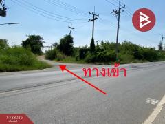 ขายที่ดิน เนื้อที่ 1 ไร่ 41 ตร.วา หนองเสือ ปทุมธานี-202512041421101764832870949.jpg
