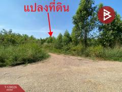 ขายที่ดิน เนื้อที่ 1 ไร่ 41 ตร.วา หนองเสือ ปทุมธานี-202512041421111764832871597.jpg