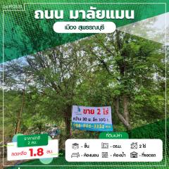 ขายที่ดินเปล่า 2ไร่ พิกัดซอยข้างแขวงการทางสุพรรณบุรี สามแยกอู่ยา ถนนมาลัยแมน อ.เมือง สุพรรณบุรี