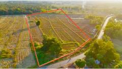  ขายที่ดินติดทางหลวงสวย ราคาถูก ตำบลบ้านเดื่อ อ.ท่าบ่อ จ.หนองคาย