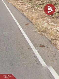 ขายที่ดิน เนื้อที่ 4 ไร่ 3 งาน 96 ตร.วา อรัญประเทศ สระแก้ว-202512041455071764834907465.jpg