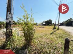 ขายที่ดิน เนื้อที่ 2 งาน เกาะขวาง จันทบุรี-202512041537121764837432849.jpg