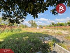 ขายที่ดิน เนื้อที่ 2 งาน เกาะขวาง จันทบุรี-202512041537141764837434565.jpg