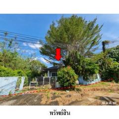 ขายบ้านเดี่ยวโครงการ ลิลลี่ วัลเลย์ ถ.เพชรเกษม (ทล.4) ตำบล กระบี่ใหญ่ อำเภอ เมืองกระบี่ จังหวัด กระบี่