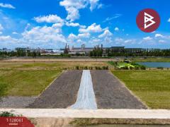 ขายที่ดิน เนื้อที่ 50 ตร.วา ไทรน้อย นนทบุรี-202512041551301764838290214.jpg