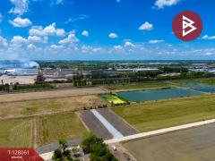 ขายที่ดิน เนื้อที่ 50 ตร.วา ไทรน้อย นนทบุรี-202512041551321764838292171.jpg