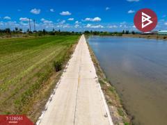 ขายที่ดิน เนื้อที่ 50 ตร.วา ไทรน้อย นนทบุรี-202512041551321764838292789.jpg