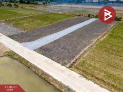 ขายที่ดิน เนื้อที่ 50 ตร.วา ไทรน้อย นนทบุรี-202512041551331764838293408.jpg