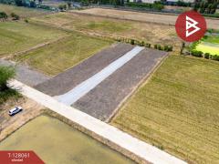 ขายที่ดิน เนื้อที่ 50 ตร.วา ไทรน้อย นนทบุรี-202512041551341764838294009.jpg