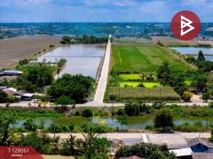 ขายที่ดิน เนื้อที่ 50 ตร.วา ไทรน้อย นนทบุรี-202512041551351764838295191.jpg