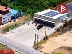 ขายที่ดิน เนื้อที่ 50 ตร.วา ไทรน้อย นนทบุรี-202512041551351764838295800.jpg