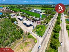 ขายที่ดิน เนื้อที่ 50 ตร.วา ไทรน้อย นนทบุรี-202512041551371764838297587.jpg