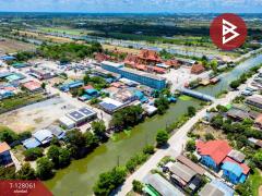 ขายที่ดิน เนื้อที่ 50 ตร.วา ไทรน้อย นนทบุรี-202512041551381764838298781.jpg