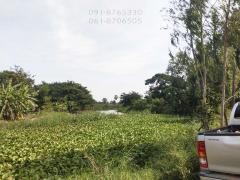 ขายที่ดิน 4ไร่ สุพรรณบุรี ติดคลองน้ำ มีน้ำมีไฟ เหมาะปลูกบ้าน ทำเกษตร ขายราคาถูก