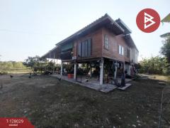 ขายด่วนบ้านสวนพร้อมที่ดิน เนื้อที่ 5 ไร่ บ้านโพธิ์แทน องค์รักษ์ นครนายก-202512041626521764840412383.jpg