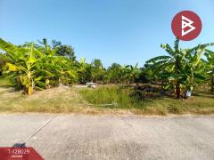 ขายด่วนบ้านสวนพร้อมที่ดิน เนื้อที่ 5 ไร่ บ้านโพธิ์แทน องค์รักษ์ นครนายก-202512041626571764840417627.jpg