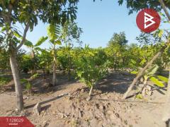 ขายด่วนบ้านสวนพร้อมที่ดิน เนื้อที่ 5 ไร่ บ้านโพธิ์แทน องค์รักษ์ นครนายก-202512041626581764840418415.jpg