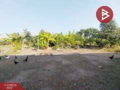 ขายด่วนบ้านสวนพร้อมที่ดิน เนื้อที่ 5 ไร่ บ้านโพธิ์แทน องค์รักษ์ นครนายก-202512041626591764840419587.jpg