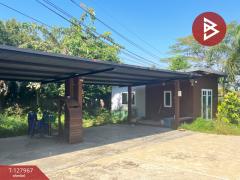 ขายบ้านเดี่ยวชั้นเดียว เนื้อที่ 1 ไร่ 81 ตารางวา หนองจอก กรุงเทพมหานคร-202512041644281764841468674.jpg