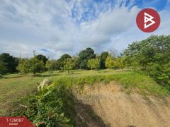  ขายที่ดินพร้อมสวน เนื้อที่ 7 ไร่ 2 งาน 22.2 ตร.วา แสลง จันทบุรี