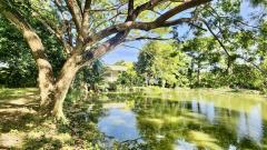 ขายบ้านสวน ฉะเชิงเทรา เนื้อที่ 4 ไร่ 29 ตารางวา หน้าติดถนน หลังติดคลอง-202512051132081764909128843.jpeg