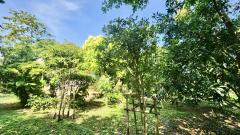 ขายบ้านสวน ฉะเชิงเทรา เนื้อที่ 4 ไร่ 29 ตารางวา หน้าติดถนน หลังติดคลอง-202512051132111764909131964.jpeg