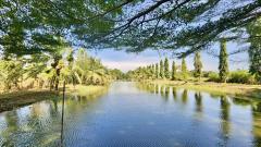 ขายบ้านสวน ฉะเชิงเทรา เนื้อที่ 4 ไร่ 29 ตารางวา หน้าติดถนน หลังติดคลอง-202512051132131764909133618.jpeg