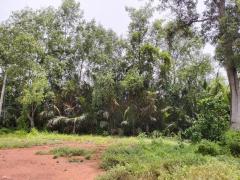 ขายหรือให้เช่า ระยะยาว ที่ดิน 6 ไร่เศษ  ติดคลองสุนัขหอน  ติดถนนทางหลวง สส.5007  (ลาดใหญ่-สมุทรสงคราม) ต.ลาดใหญ่ อ.เมือง จ.สมุทรสงคราม-202512051233391764912819836.jpg