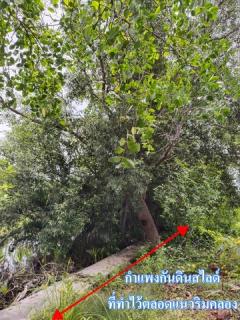 ขายหรือให้เช่า ระยะยาว ที่ดิน 6 ไร่เศษ  ติดคลองสุนัขหอน  ติดถนนทางหลวง สส.5007  (ลาดใหญ่-สมุทรสงคราม) ต.ลาดใหญ่ อ.เมือง จ.สมุทรสงคราม-202512051233401764912820647.jpg
