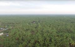 ขายหรือให้เช่า ระยะยาว ที่ดิน 6 ไร่เศษ  ติดคลองสุนัขหอน  ติดถนนทางหลวง สส.5007  (ลาดใหญ่-สมุทรสงคราม) ต.ลาดใหญ่ อ.เมือง จ.สมุทรสงคราม-202512051233411764912821174.jpg