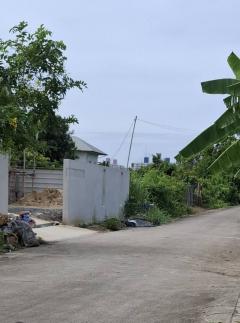 ขายที่ถมแล้ว  93.6  ตรว. ใกล้สถานีรถไฟฟ้าสายสีชมพู เมืองทองธานี ต.บ้านใหม่  อ.ปากเกร็ด(ตลาดขวัญ)  จ.นนทบุรี-202512051244201764913460602.jpg