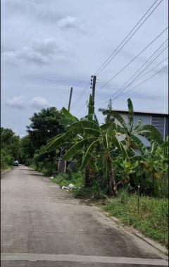 ขายที่ถมแล้ว  93.6  ตรว. ใกล้สถานีรถไฟฟ้าสายสีชมพู เมืองทองธานี ต.บ้านใหม่  อ.ปากเกร็ด(ตลาดขวัญ)  จ.นนทบุรี-202512051244211764913461233.jpg