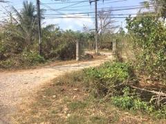 เจ้าของขายเอง ที่ดินติดถนน ทางหลักสายท่าแฉลบ อำเภอเมืองจันทบุรี  -202512051507571764922077254.jpg