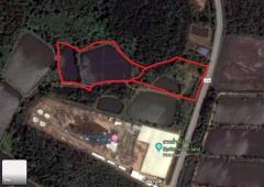 เจ้าของขายเอง ที่ดินติดถนน ทางหลักสายท่าแฉลบ อำเภอเมืองจันทบุรี  -202512051507571764922077785.jpg