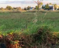 ขายที่ดิน 4ไร่ ในตัวเมืองอำนาจเจริญ เหมาะปลูกบ้าน ทำโครงการจัดสรร ทำโกดัง ใกล้ถนนใหญ่-202512051526241764923184171.jpg